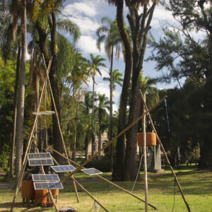 Neosymbiota_14a Mostra 3M_2025_fotokarinabacci_00_fotokarinabacci_013