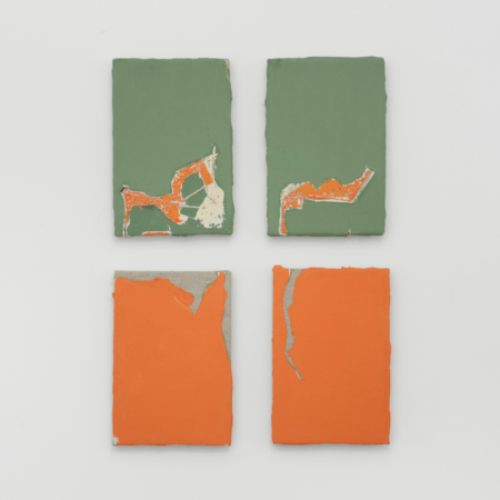 Edu Silva 8 edu silva (5)