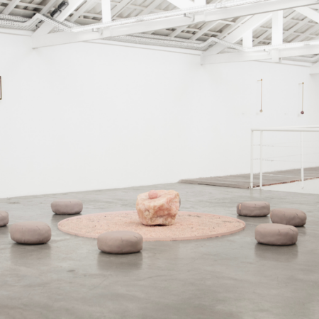 janet vollebregt (1)