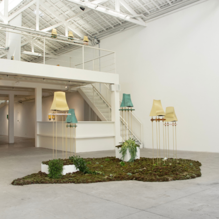 janet vollebregt (4)