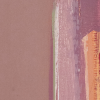 banner edu monica