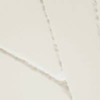 banner zanini de zanine