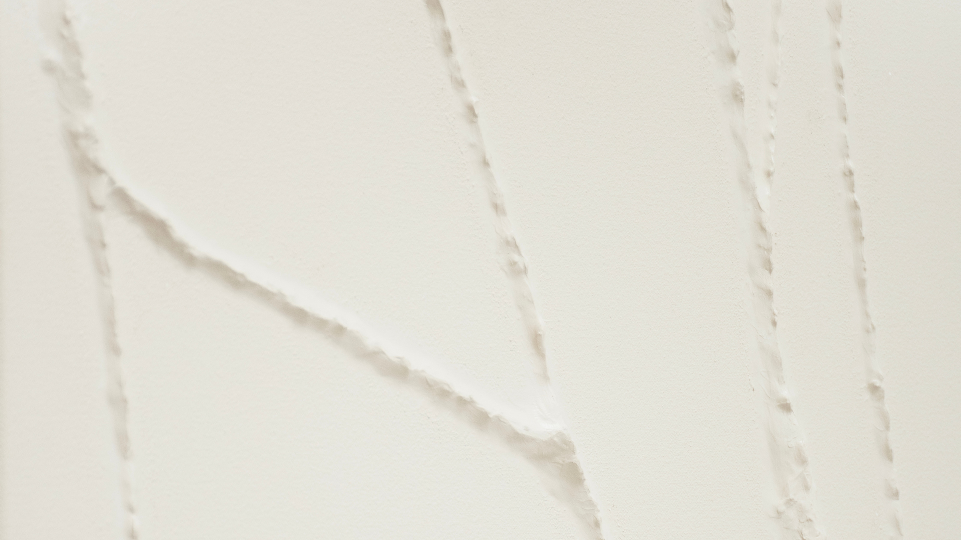 banner zanini de zanine