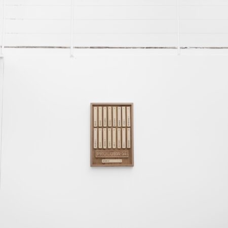 Chão é outra palavra para voo Deco Adjiman