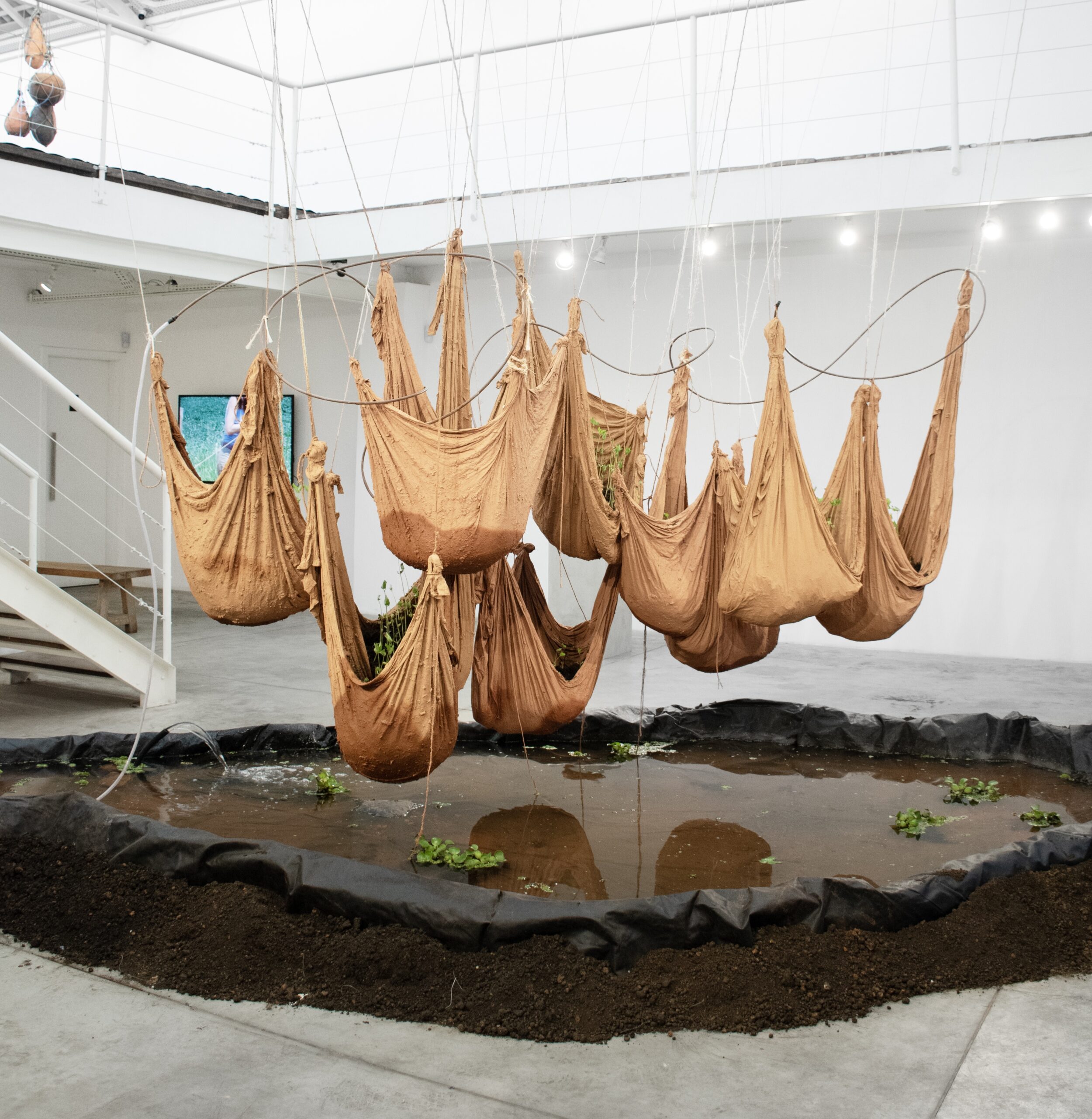 2024 LV Usina Vistas AnaAliaga 16 1 scaled