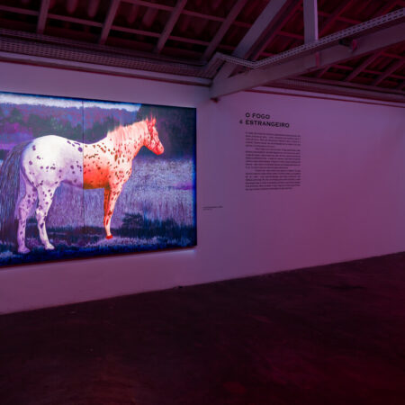 03_26 - Luis Maluf - Suspensao-da-descrenca_Beatriz_Jaksys-1